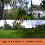 sitio zelia viamão - junielle corretora - lago